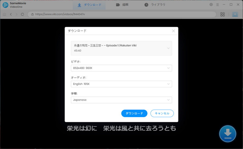 楽天Viki ビデオの出力設定
