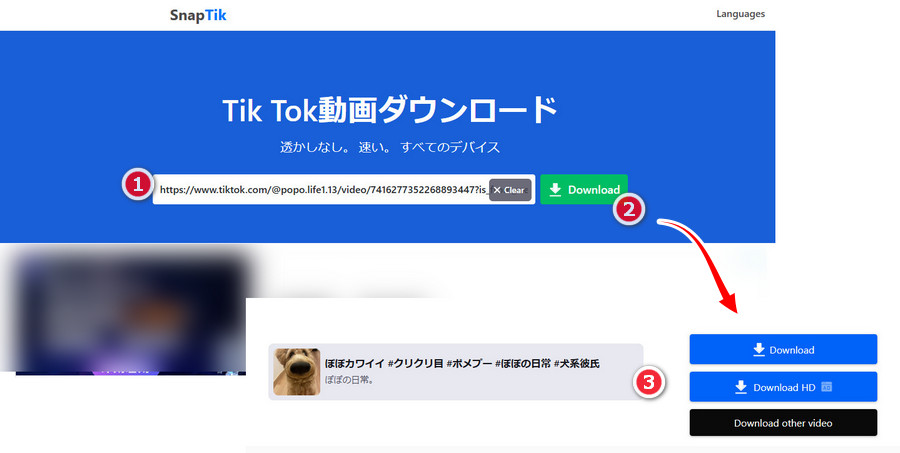 SnapTikでTikTokをダウンロード