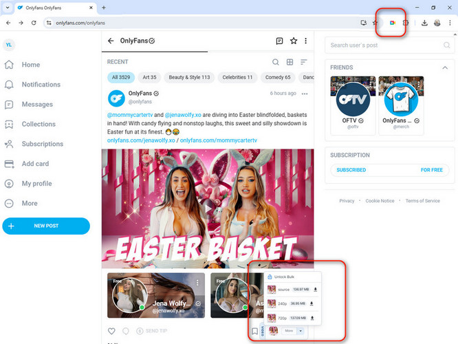  Streamfork OnlyFans Downloader